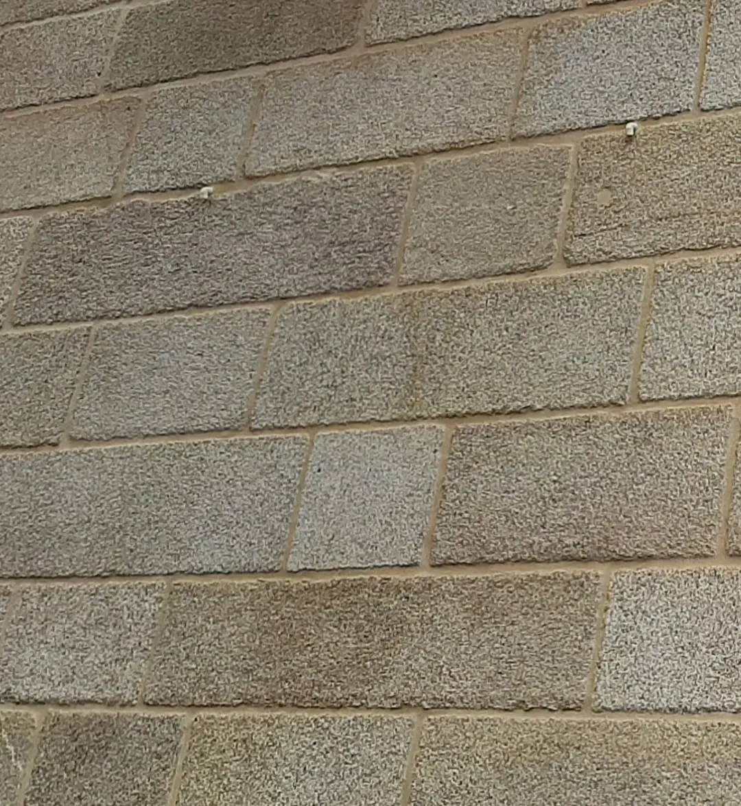 Muro de piedra musgo con tonalidades verdes características